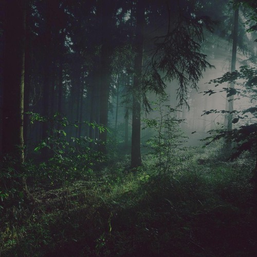 REST (Prod. by Josh Rey & Haze)