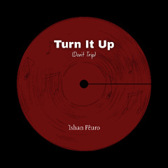 Turn It Up (Don't Trip)