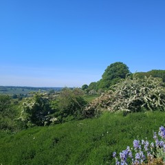 The Isle Of Oxley