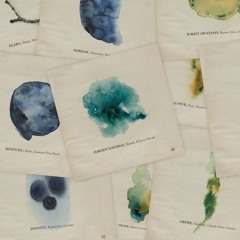 Chapter: Aedi Records