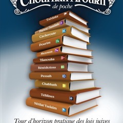 ePub/Ebook Mon Choul'han Aroukh de poche BY : Editions Torah-Box & Rav Emmanuel Mimran