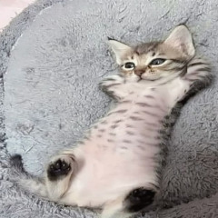 Ушла ну и хуй с тобой
