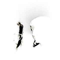 Alho - Teosis