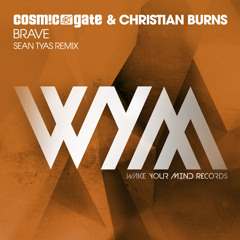 Brave (Sean Tyas Remix)