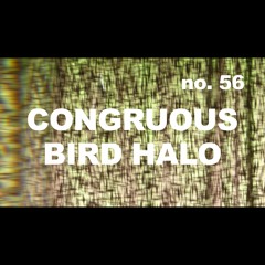 Episode 56 - CONGRUOUS BIRD HALO