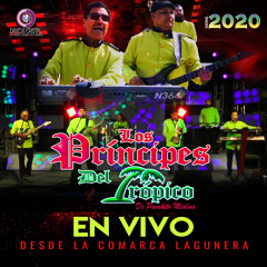 Paloma Errante Despedida (En Vivo)