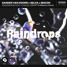 Sander Van Doorn x SELVA x MACON - Raindrops ( SH1FT X Melenix Remix )
