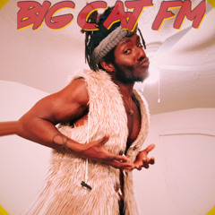 BigCat FM.