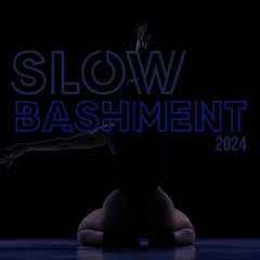 Slow Bashment Mix 2024 | Through the Years