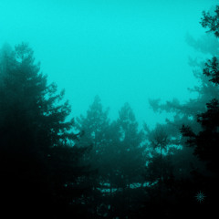 I Can Finally Cry Again