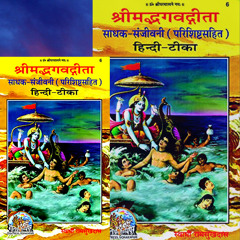 Swami Ji - 19810818_0518 Sansaar Ke Sath Humara Sambandh Nahi Hai