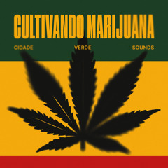 Cultivando Marijuana