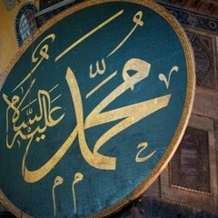فضل النبي على الأمم