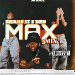 Shake It To The Max 3mix (RAW)