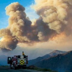 California by Nave x Video1