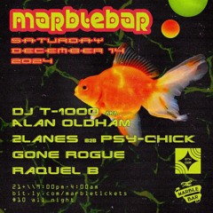 DJ T-1000 a.k.a. Alan Oldham @ The Marble Bar 12/14/2024