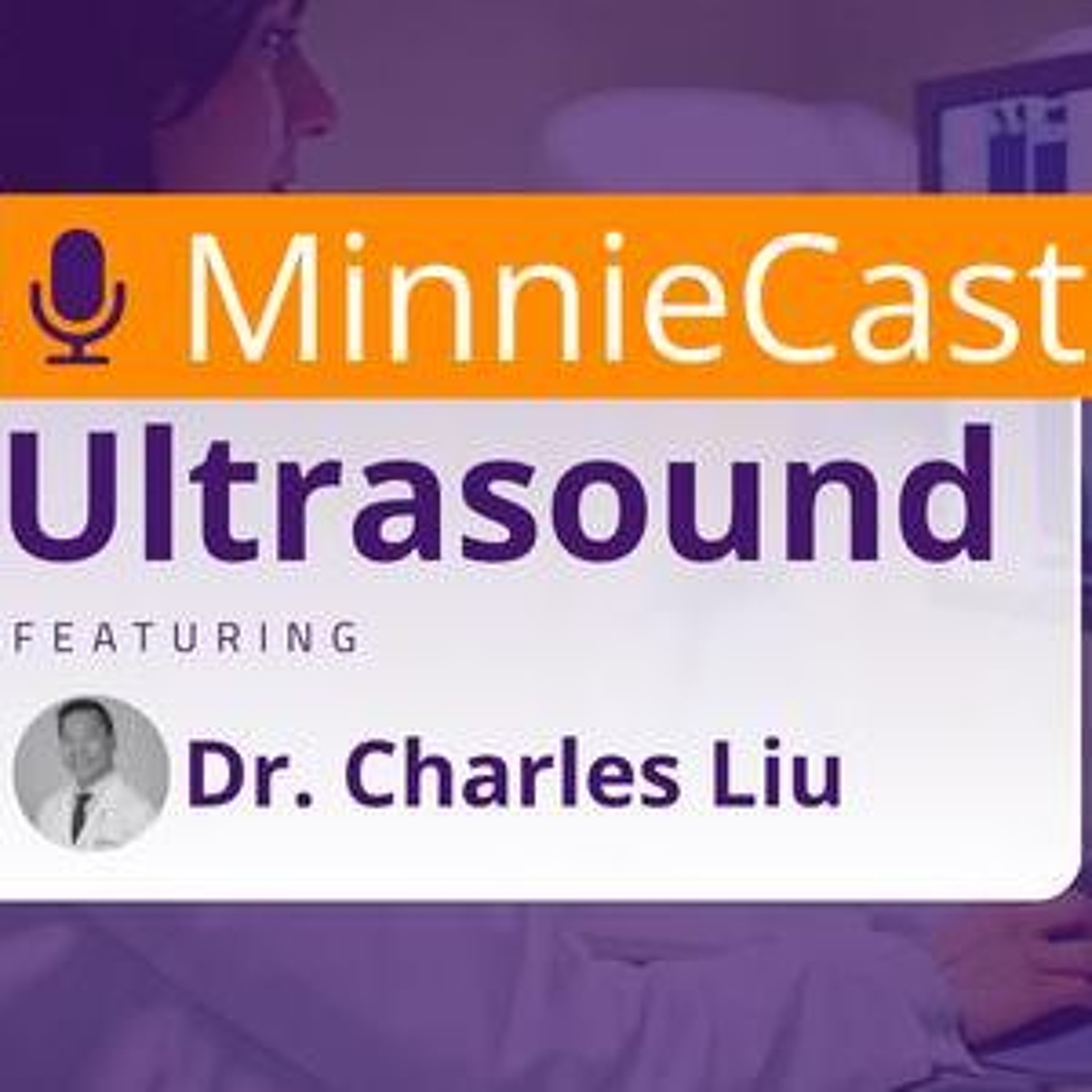 Ultrasound MinnieCast ep. 2 - Imaging with RUS-PAT