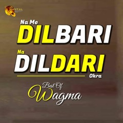 Na Me Dilbari Na Dildari -  Wagma -  Pashto Song