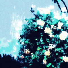 Atmospheric / blackgaze / post-black / cosmic  - 8