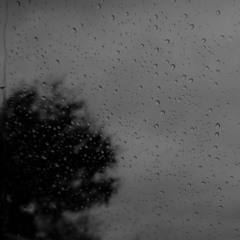 rain_fall