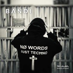 Pandemic chronicles – BANDEE [BANDI]