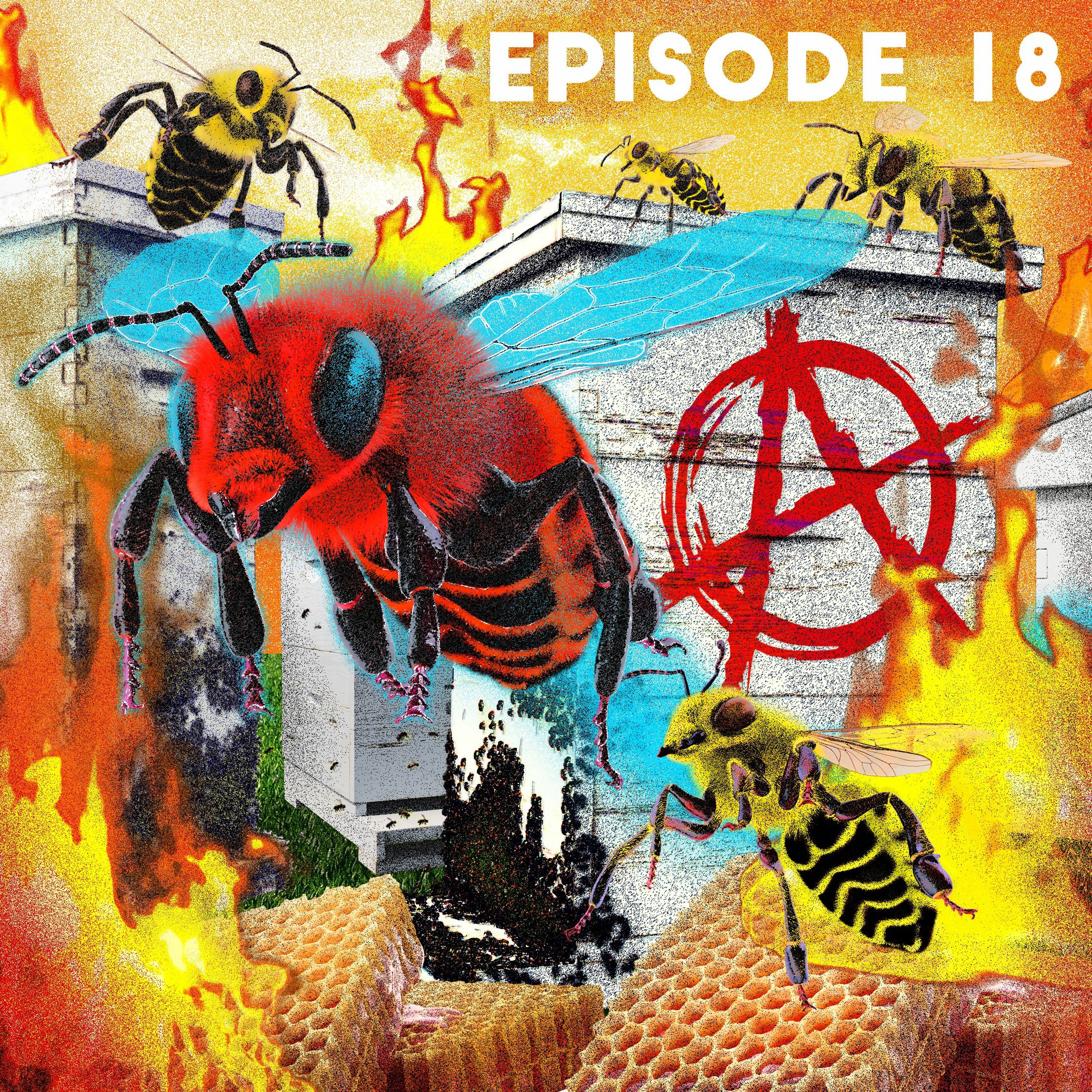 Undisciplined Podcast