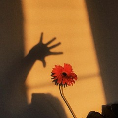 ดี อ อ ก - yoh // cover