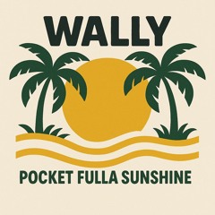 Pocket Fulla Sunshine WALLY EDIT (FREE DOWNLOAD)