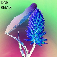 Flume-Say It feat. Tove Lo (DNB Remix)