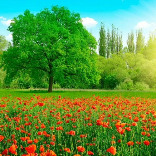 アリー、アリー-Us background loop (FREE DOWNLOAD)