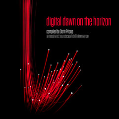 V.A. - Digital Dawn On The Horizon