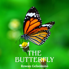 The Butterfly