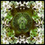 Artwork for Kurxxed Emeraldz (Remake)