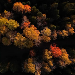 Avant l'hiver / JT France 2