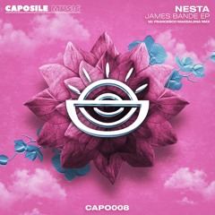 Nesta - James Bande (Francesco Maddalena Remix) [snipped]