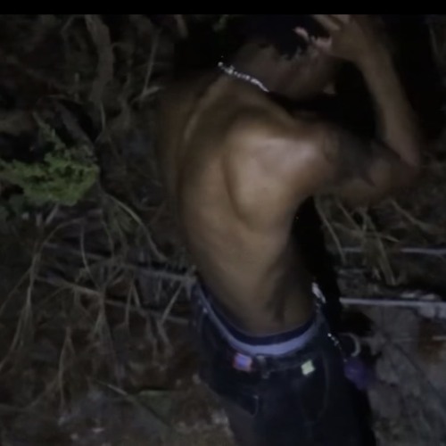 Spine