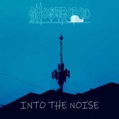 Into The Noise