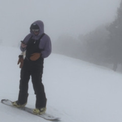 PEACE OF MIND - LINE - WDISLY