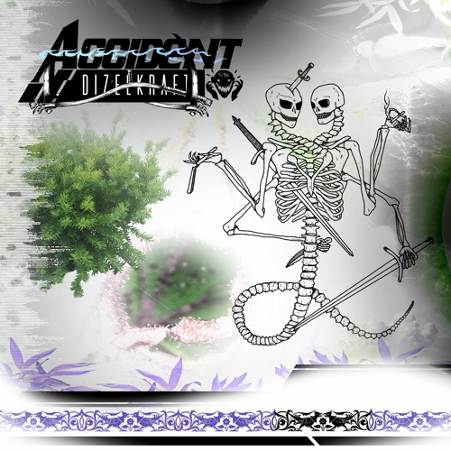 Dizelkraft - Accident