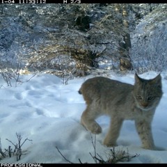 nope too late i already fucked up