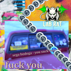 Sega Bodega - You Suck (Fuck You - Lab Rat Remix)