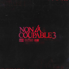 Non coupable 3