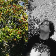 disassociate