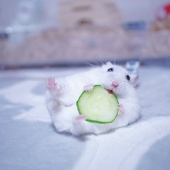 I need only U. (!87.) cover