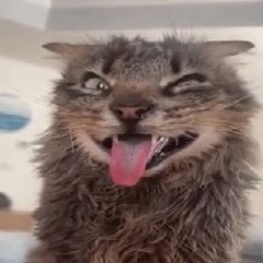 lil wigo ひ - luv broke 2 prod. kl (2023)