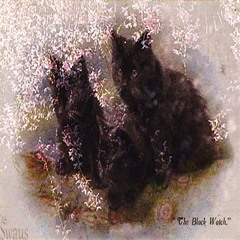 "The Black Watch."