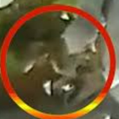 ORIGINAL Video Gốc Bé Áo Đen Nhảy Hình Ảnh
