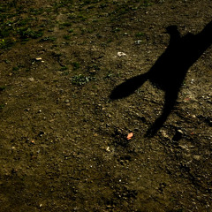 Radio Vilnius 7th of July 2025