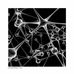 Federacto - Infinity