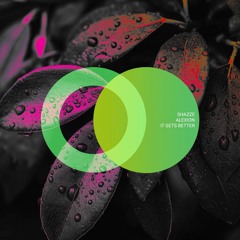 SHAZZE, Alexion - It Gets Better (Original Mix)